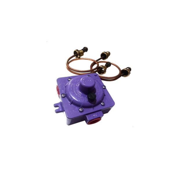 REGULADOR GAS ENVASADO 45 KG C/2 FLEXIBLES